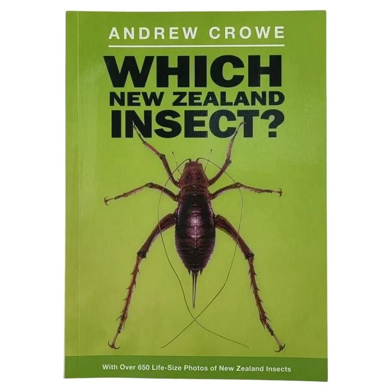 Which new zealand insect/ Путеводитель по идентификации насекомых в Новой Зеландии