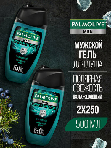 Изображение товара Гель для душа Palmolive мужской 5в1 Полярная свежесть, Охлаждающий, 250 мл (2 шт)
