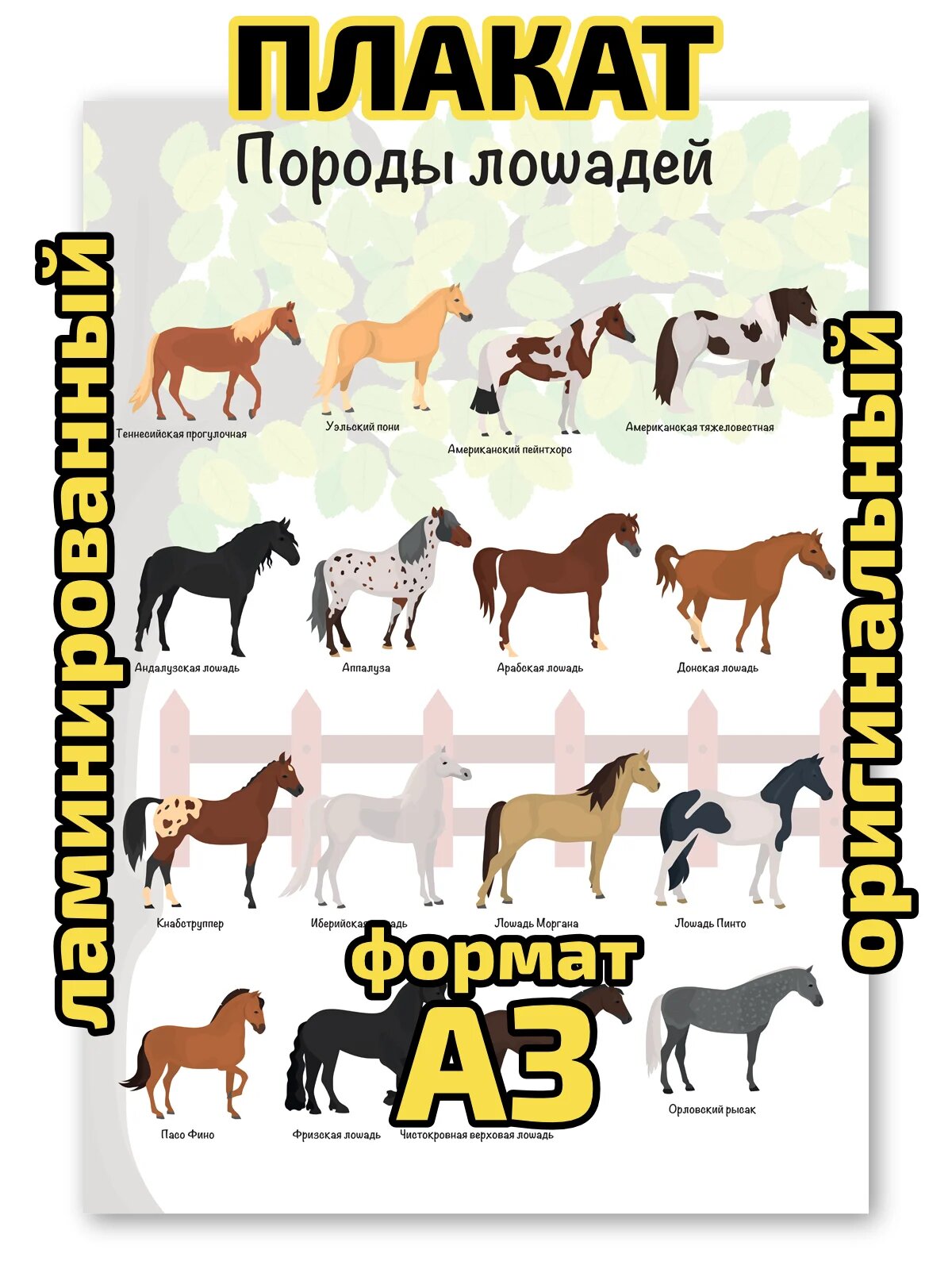 Плакат Квинг "Породы лошадей", ламинированный, А3, для изучения зоологии и коневодства