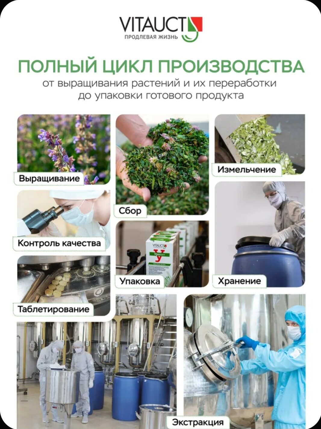 Гепатроп для защиты и питания печени Vitauct, растительный препарат, средства для детоксикации и очишения печени — фото 1