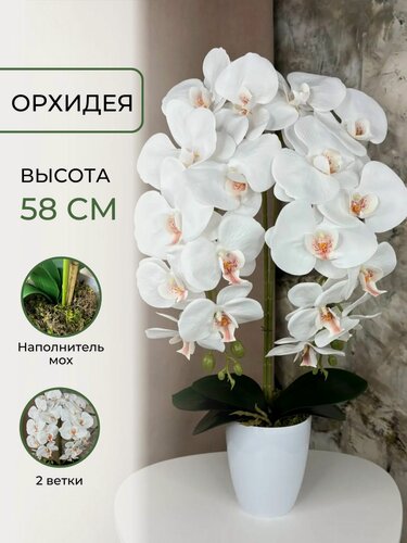 Изображение товара Орхидея искусственная в горшке 2 ветки