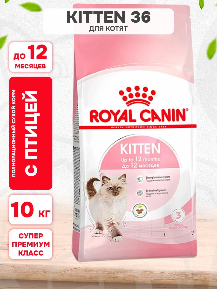 Корм сухой Royal Canin Kitten 36 для котят, 10 кг