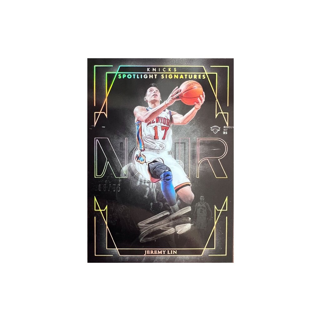 Карточки коллекционные PANINI NOIR