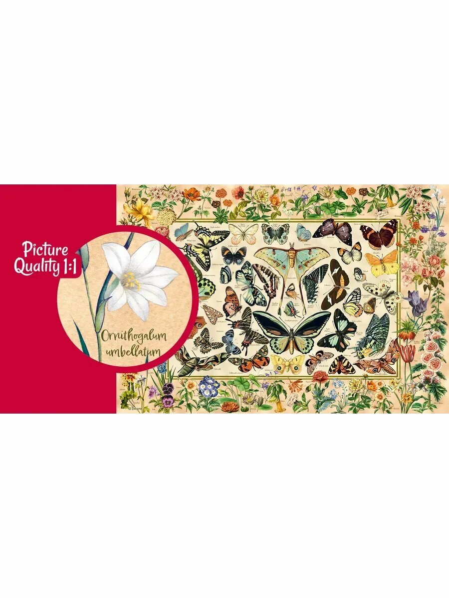 Пазлы для взрослых 2000 элементов В мире ботаники — фото 1