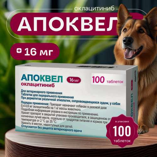 Изображение товара Таблетки Апоквел, для снятия зуда, от аллергических дерматитов, для собак, 16мг 100 таблеток