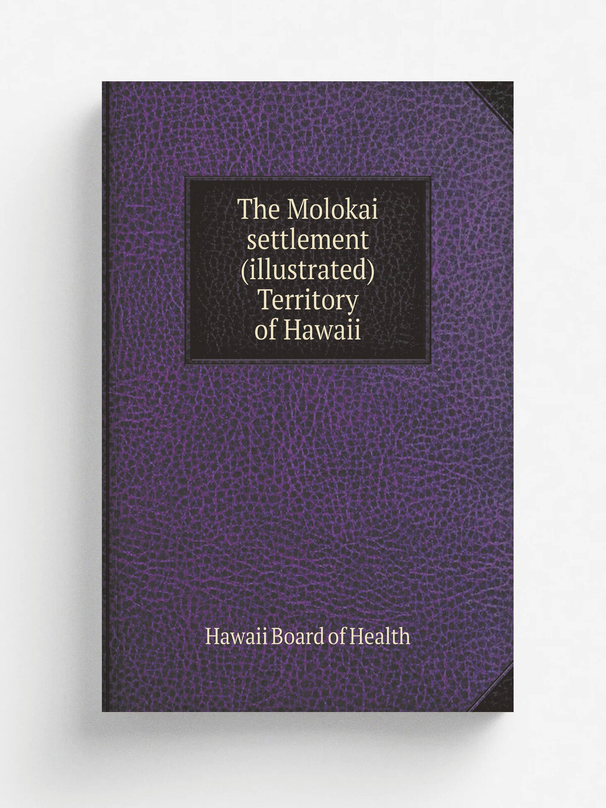 The Molokai settlement (illustrated) Territory of Hawaii