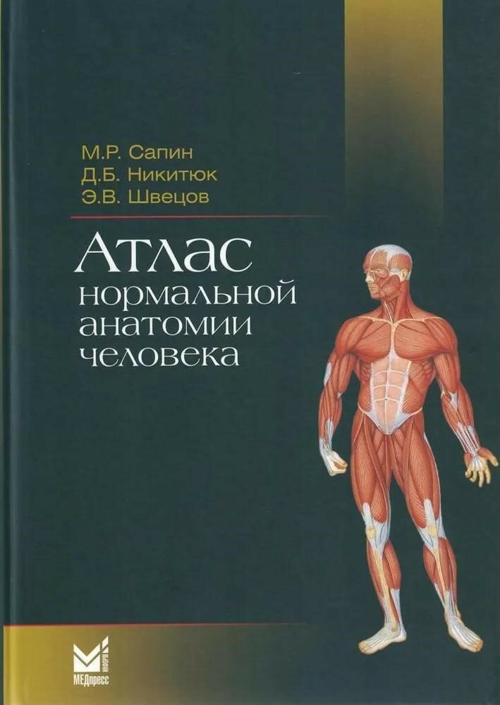 Атлас нормальной анатомии человека: Учебное пособие. 6-е изд