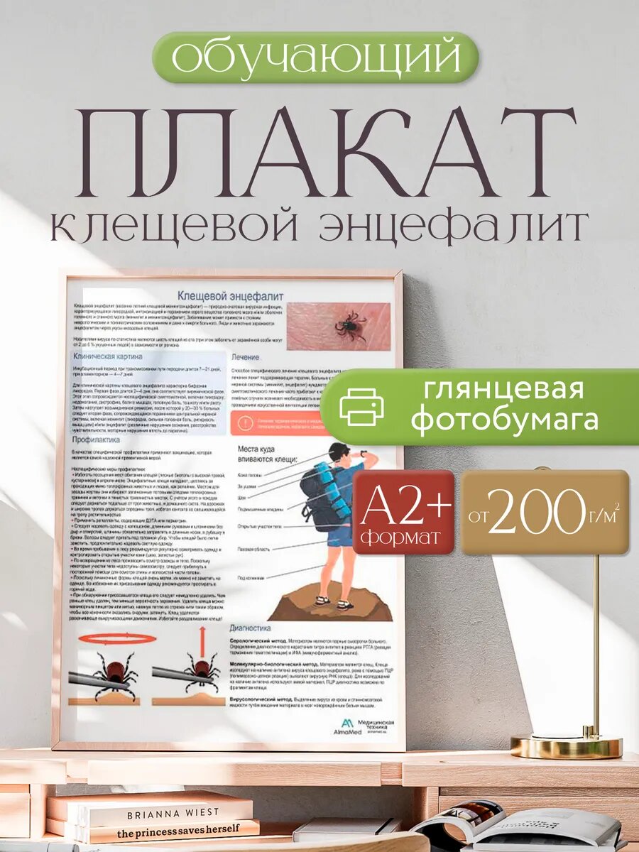 Клещевой энцефалит медицинский плакат глянцевая фотобумага от 200 г/кв. м, размер A2+