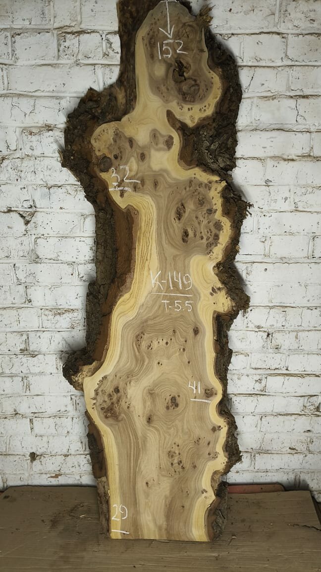 Слэб дерева Карагач К149, выровнен в плоскости, влажность 8-10%