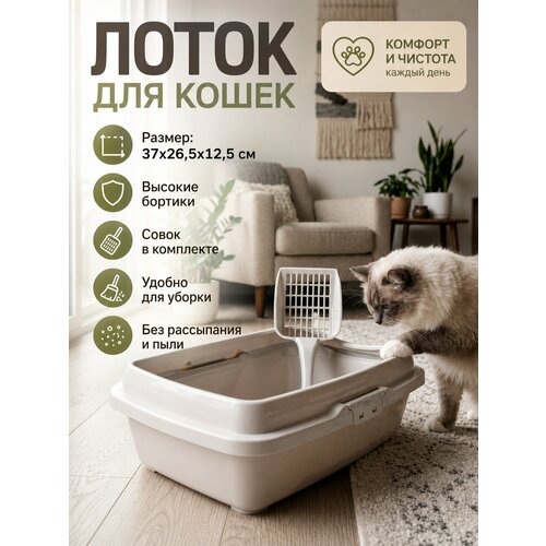 фото Лоток для кошек и котят с бортом и совком, 37х26,5х12,5 см, светло-серый ddstyle