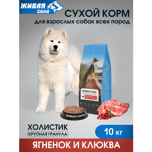 фото Живая сила jj-sport джамп сухой корм для взрослых собак всех пород с ягненком крупная гранула 10 кг