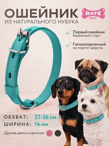 Изображение товара Ошейник для собак кожаный (нубук), обхват шеи 27-36 см, ширина 1.4 см, бирюзовый