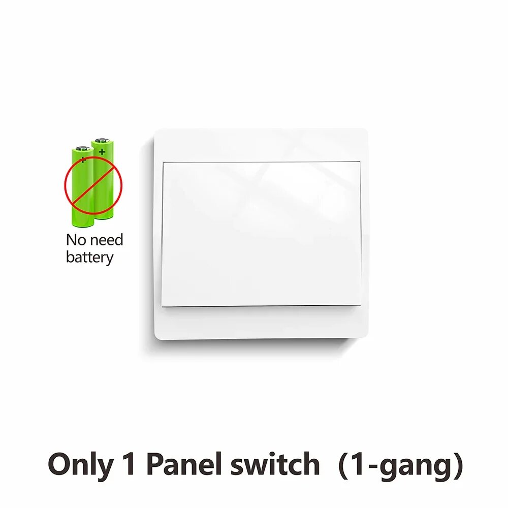 Выключатель Panel 1-gang, Цвет: 1Remote 1Bbutton