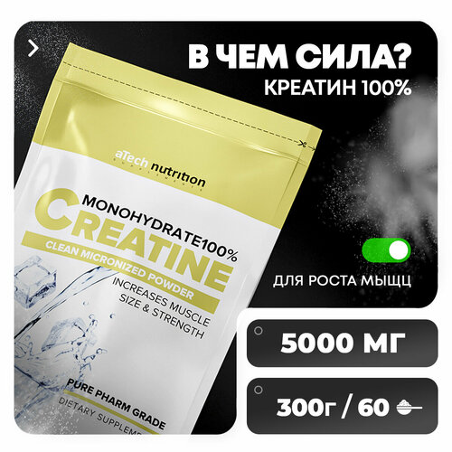 ATech Nutrition Creatine Monohydrate 100%, 300 гр.
