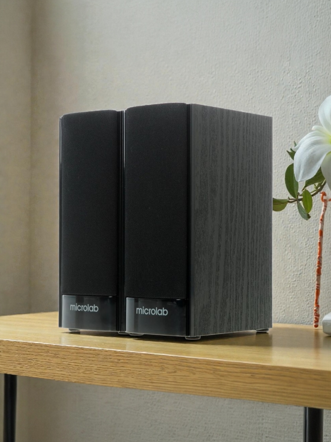 Microlab B56 — компактная USB 2.0 акустика с мощным и чистым звуком для ПК и мультимедиа.