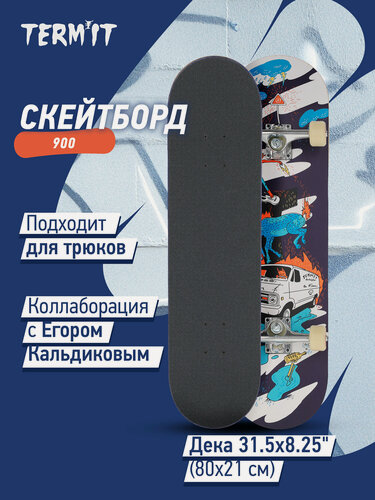 Изображение товара Скейтборд Termit 900