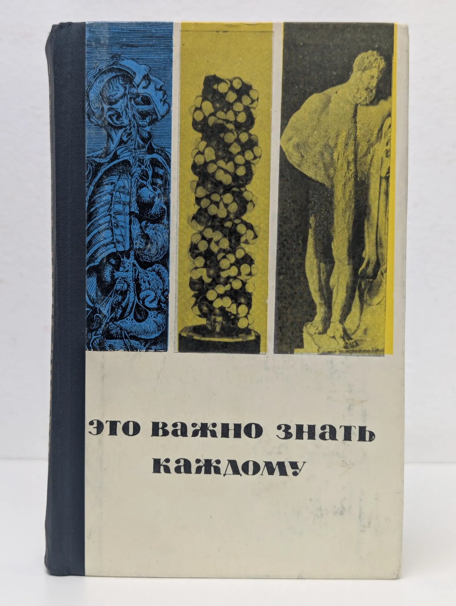 Это важно знать каждому Лагутина Е. В. (ред.) 1963