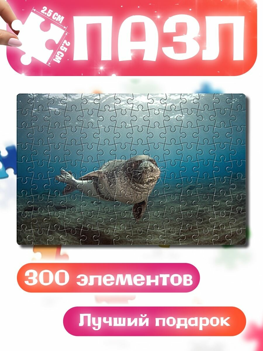Пазлы для детей и взрослых Тюлень под водой