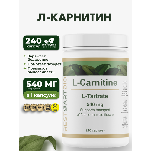 Л-Карнитин 500 мг RestartBio 240 капсул / витамины для мужчин и женщин для похудения l карнитин рестартбио