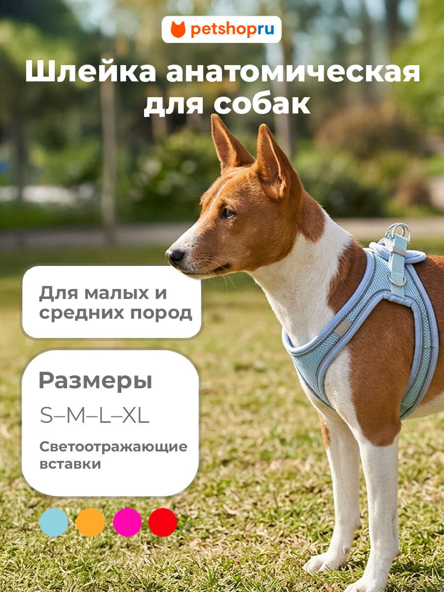 PETSHOP Шлейка для собак "Барни", L