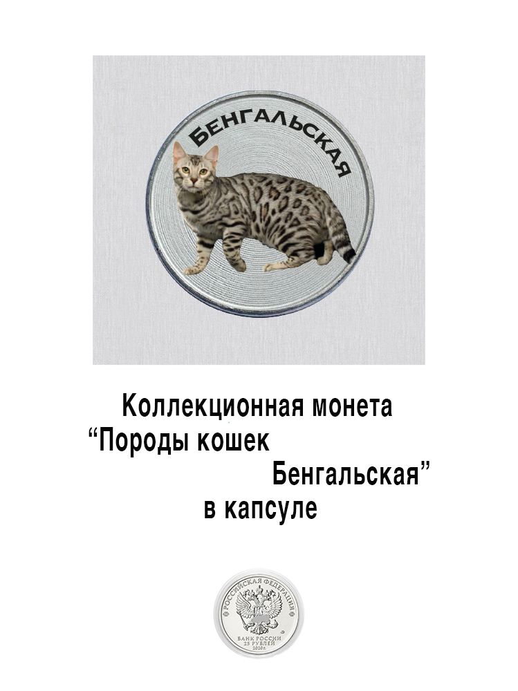 Коллекционная сувенирная монета "Бенгальская кошка" , из серии"Знаменитые породы кошек"-25 рублей