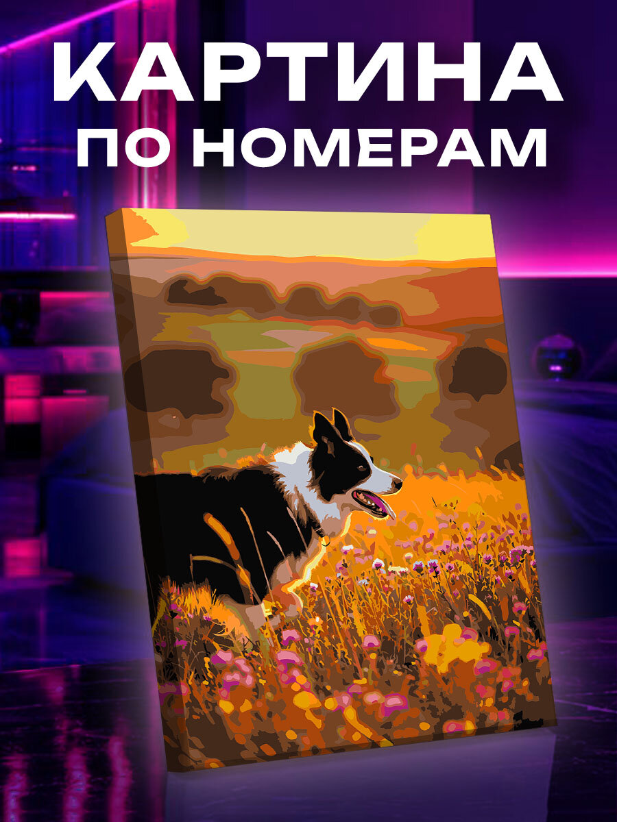 Картина по номерам Собака