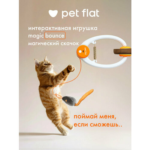 фото Интерактивная игрушка для кошек pet flat magic bounce с мышкой