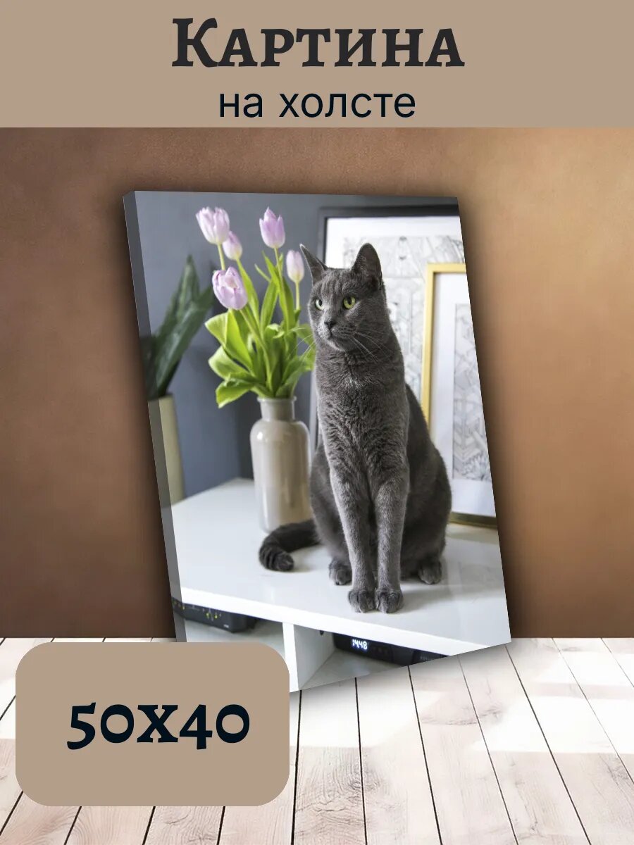 Картина Постер Кот Кошка Cat 40x50 серая кошка с тюльпанами