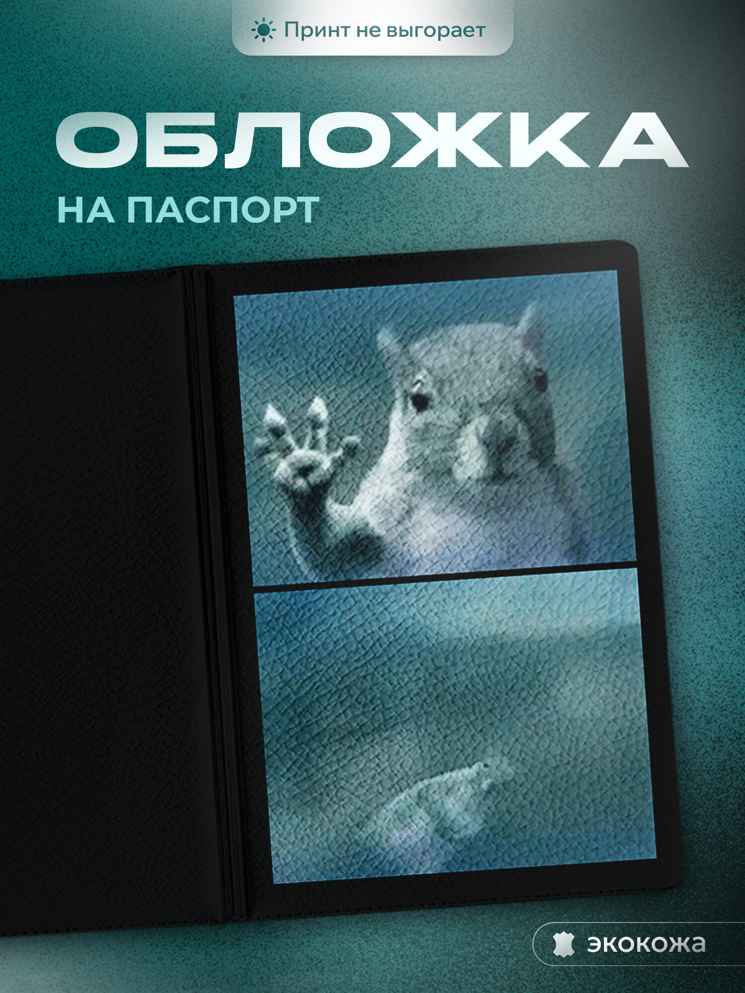 Обложка для паспорта