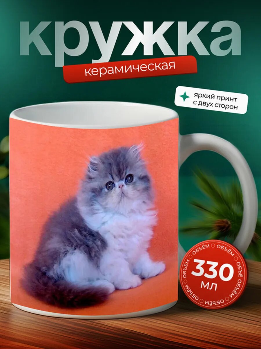 Кружка Спайс кот 17,