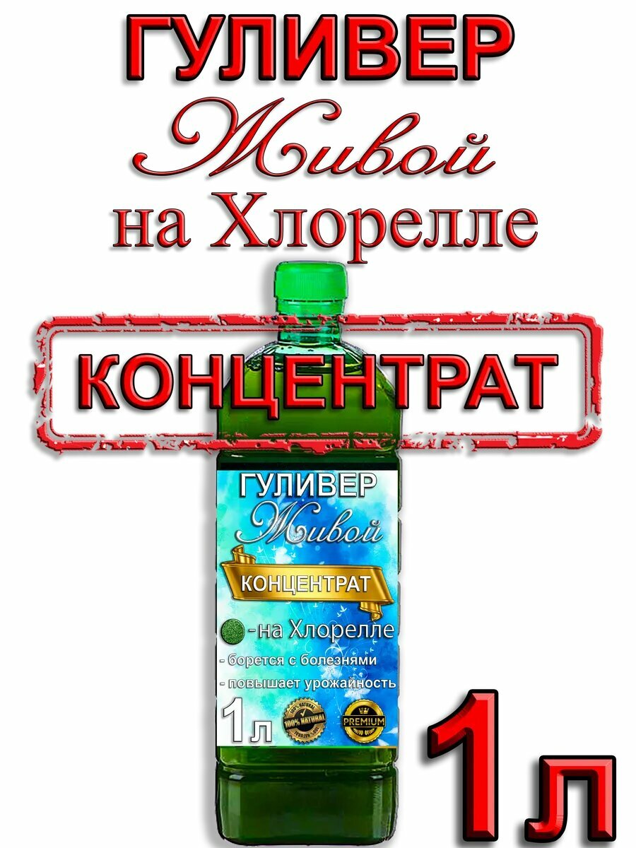 Гуливер живой на Хлорелле  1 литр