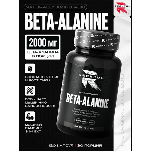 Бета Аланин в капсулах, Beta Alanine для выносливости, 2000мг, 120 капсул
