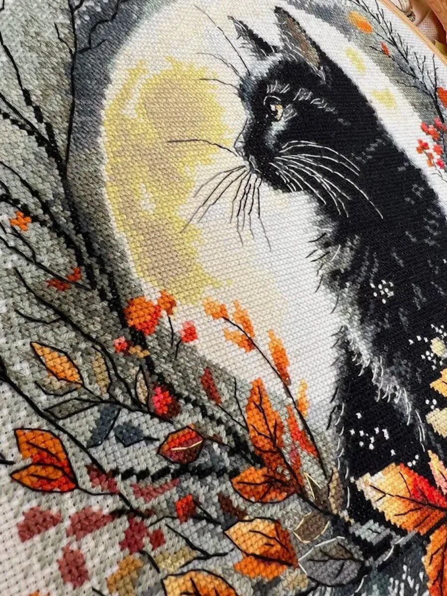 Набор для вышивания крестиком Кот 16 СТ — фото 1