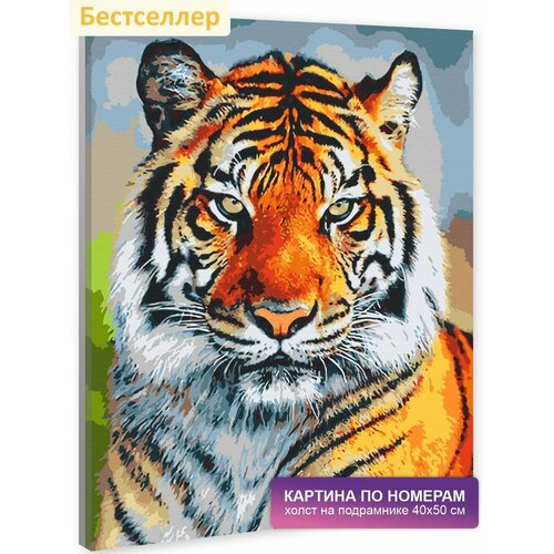 фото Картина по номерам на холсте с подрамником 40х50 см. природа, животные, рыбы, птицы. волки. "тигр", арт. 1811/ мырисуем