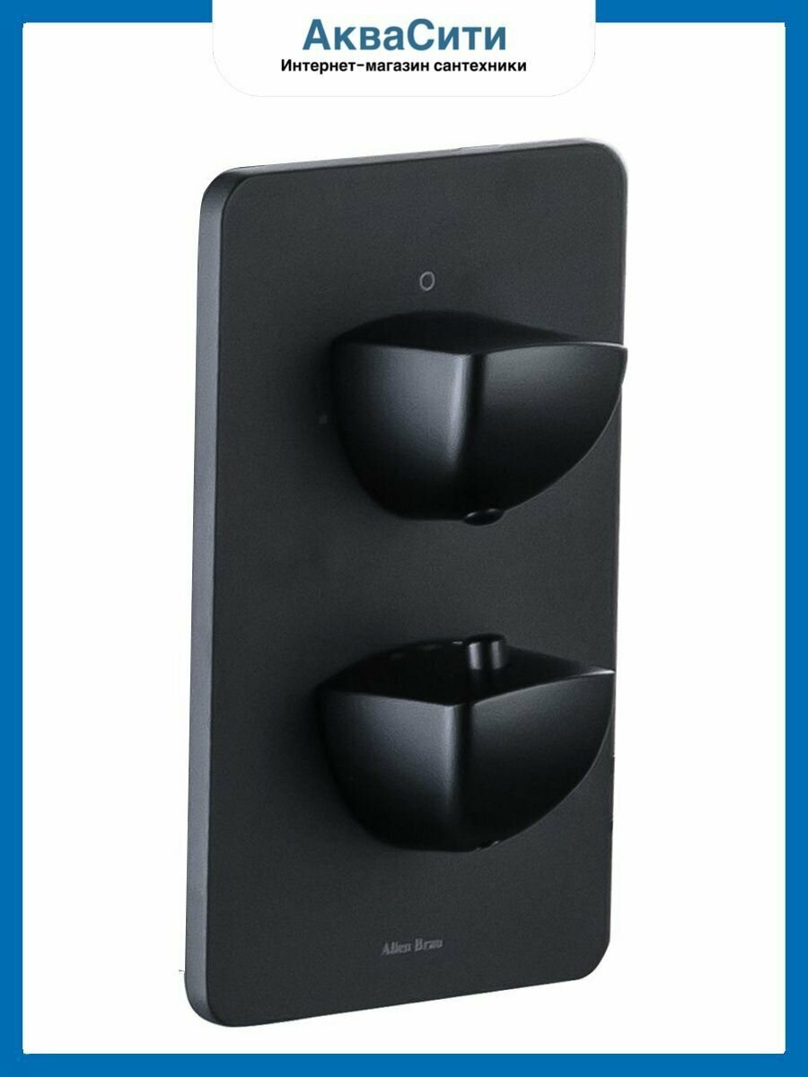 Смеситель Allen Brau Infinity 5.21116-31 (с внутренней частью) черный матовый