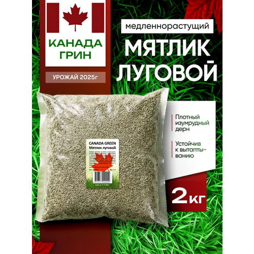 фото Мятлик луговой семена 100% canada green, 2 кг