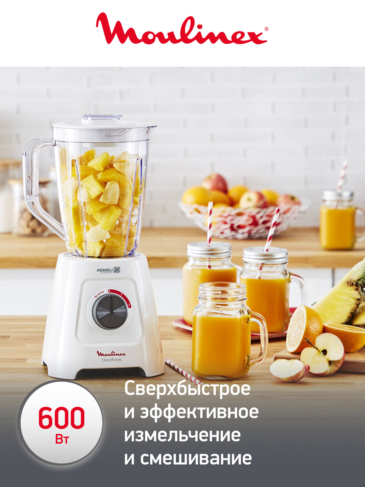 Стационарный блендер-соковыжималка MOULINEX LM42Q110 — фото 1