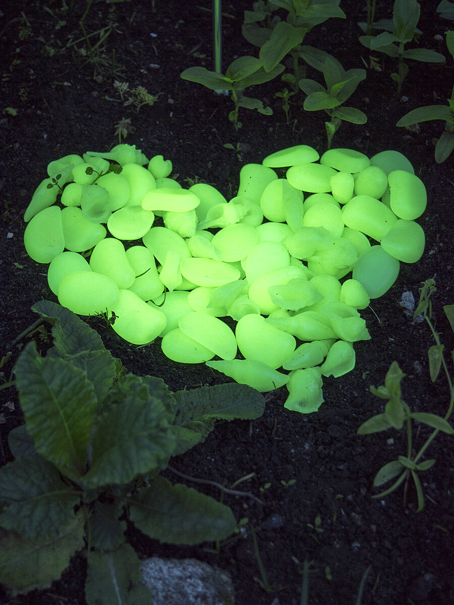 Декоративные светящиеся в темноте камни Чудесный сад  зеленые  3 5 см  12 шт