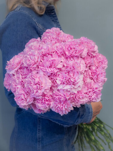 Изображение товара Букет живых цветов из 15 диантусов (гвоздик) нежно сиреневого цвета в матовой упаковке