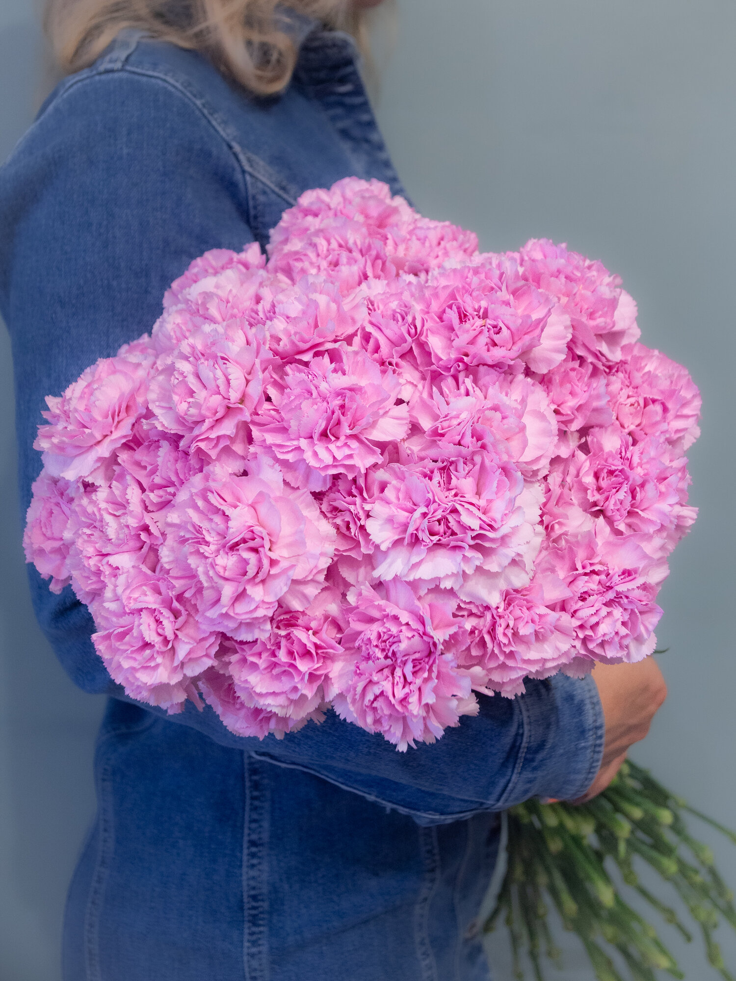 Букет живых цветов из 7 диантусов (гвоздик) нежно сиреневого цвета в матовой упаковке