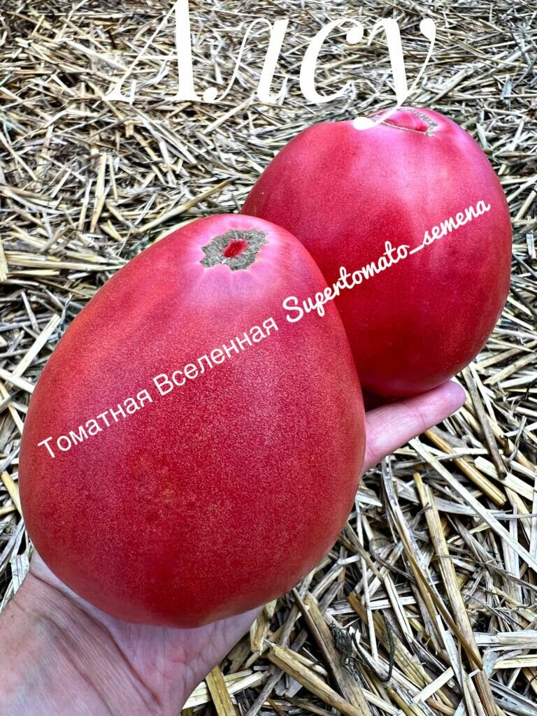 Алсу. Семена томатов. 10 шт