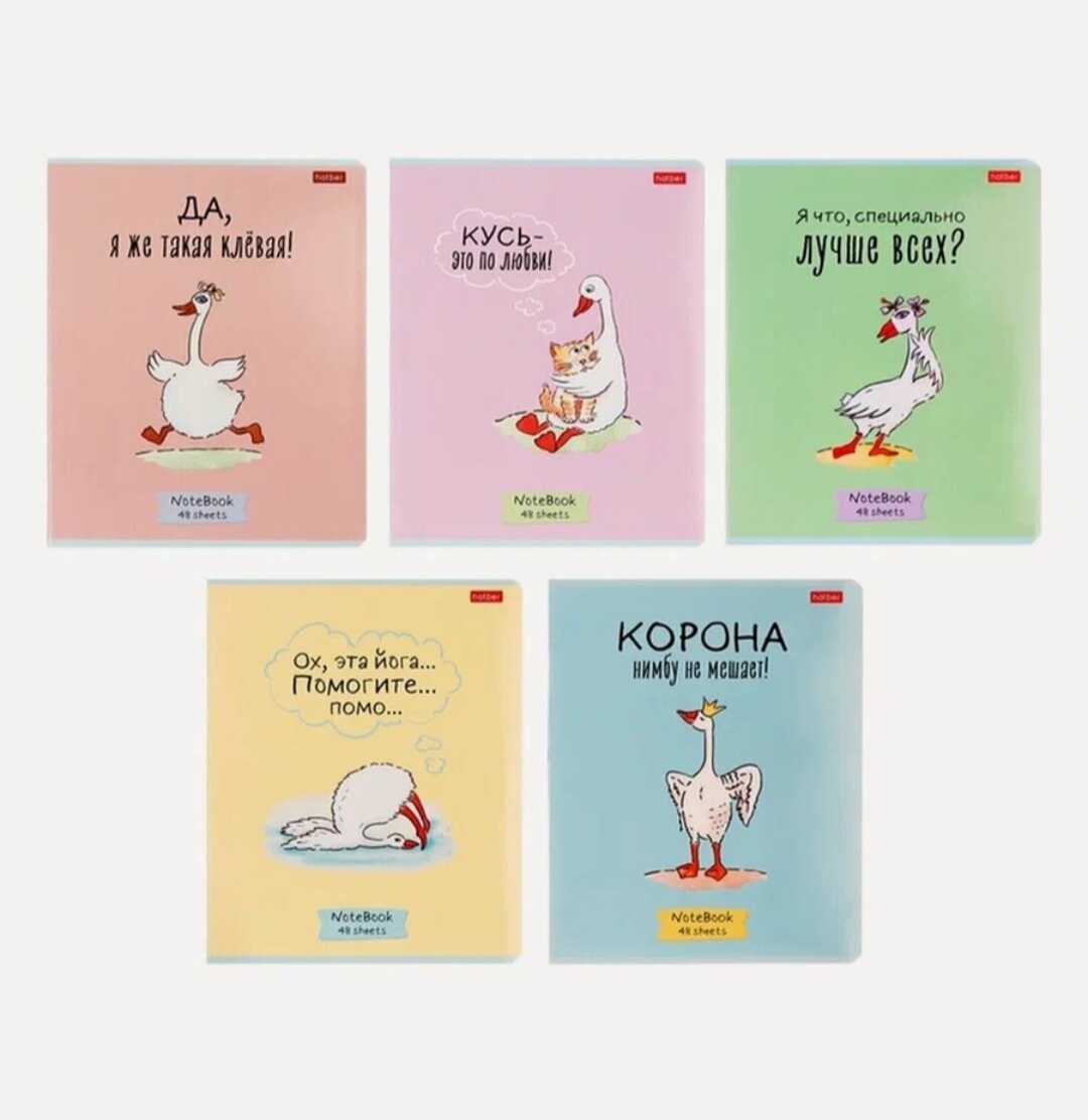 Тетрадь 48 листов в клетку "Гусь-веселюсь №1", обложка мелованный картон, скругленные углы, микс (комплект из 5 шт)