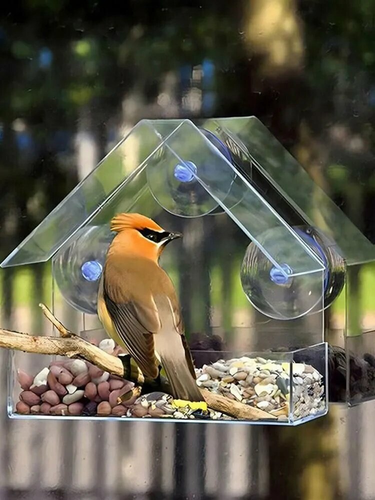 Cccitizen Кормушка,15х6х15см