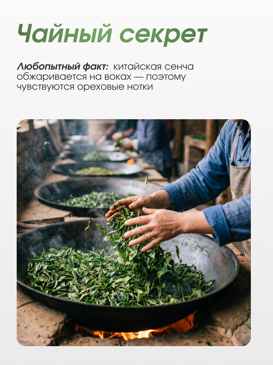 Чай зеленый "Сенча" 100 гр. Lum Tea, баланс вкуса и энергии природы — фото 1
