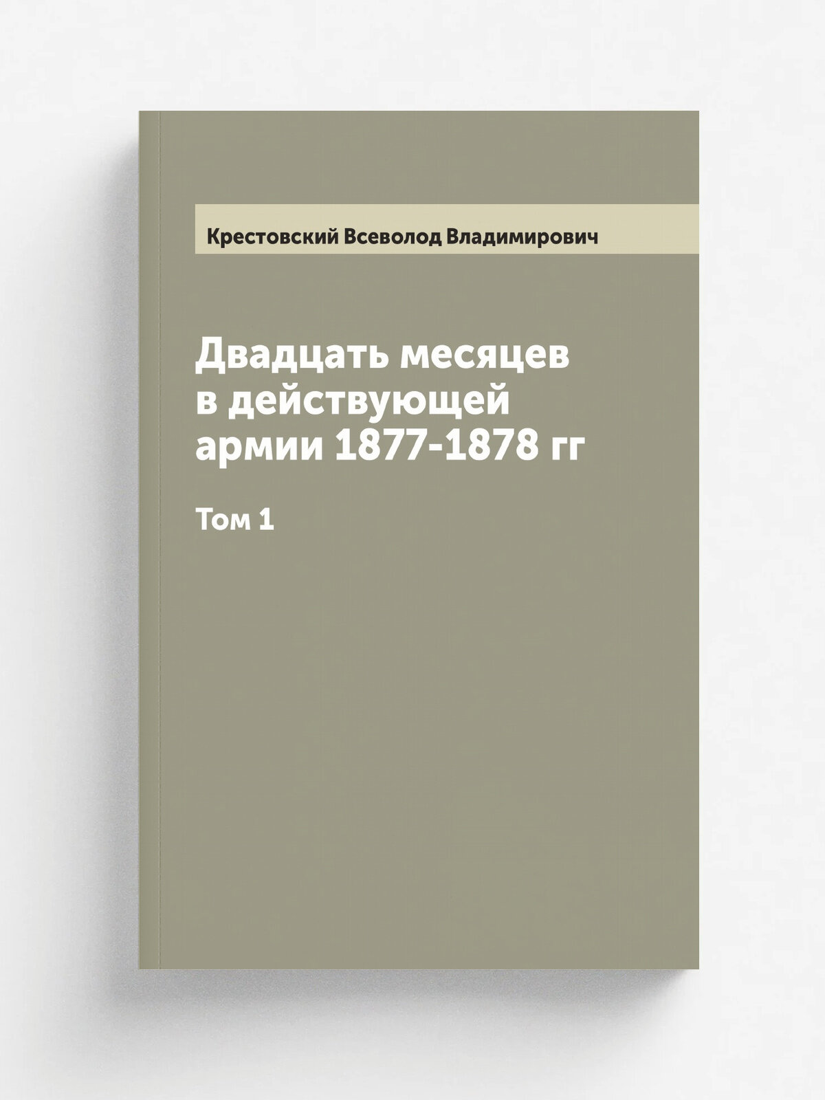 Двадцать месяцев в действующей армии 1877-1878 гг. Том 1