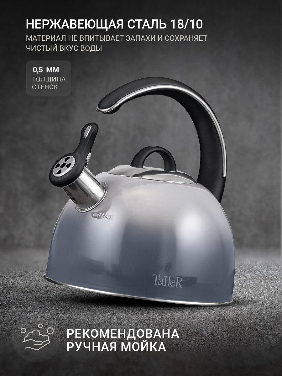Чайник для всех типов плит TalleR TR-11355 Обсидиан 2.8 л, со свистком — фото 1