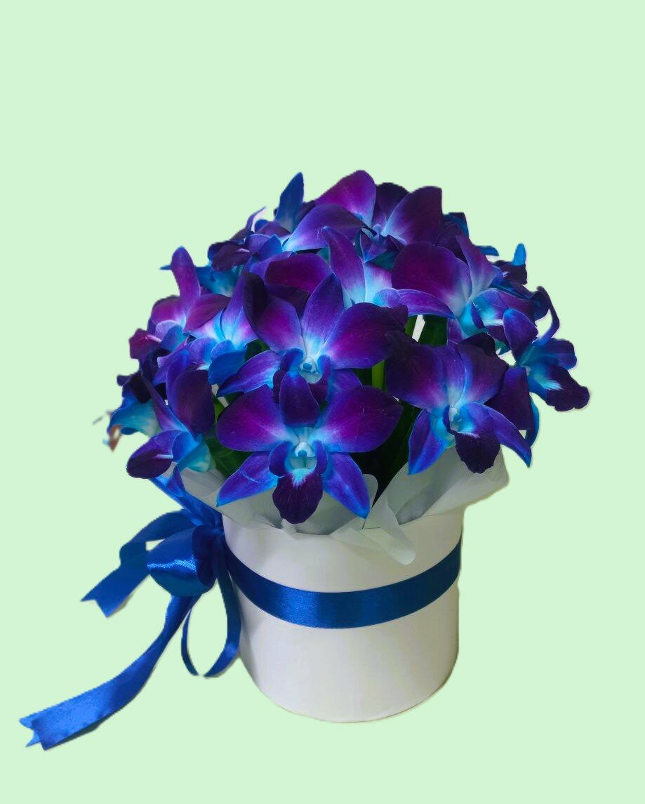 Букет Космические орхидеи в шляпной коробке. Букет 7277-27 LOLARED
