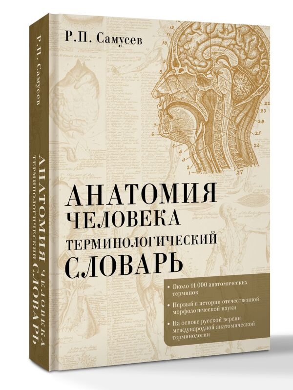 Анатомия человека. Терминологический словарь — фото 1