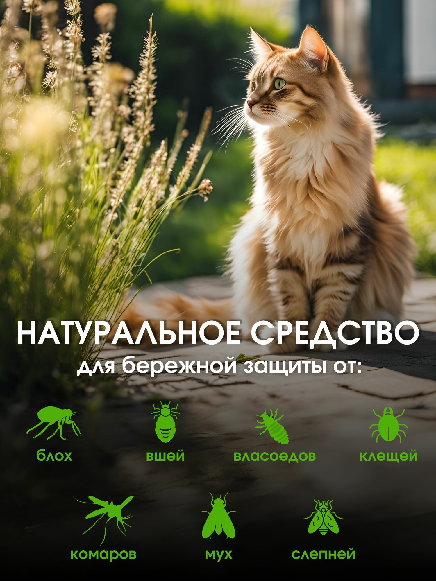 Спрей от блох клещей комаров Ms.Kiss репеллентный для кошек 200 мл — фото 1