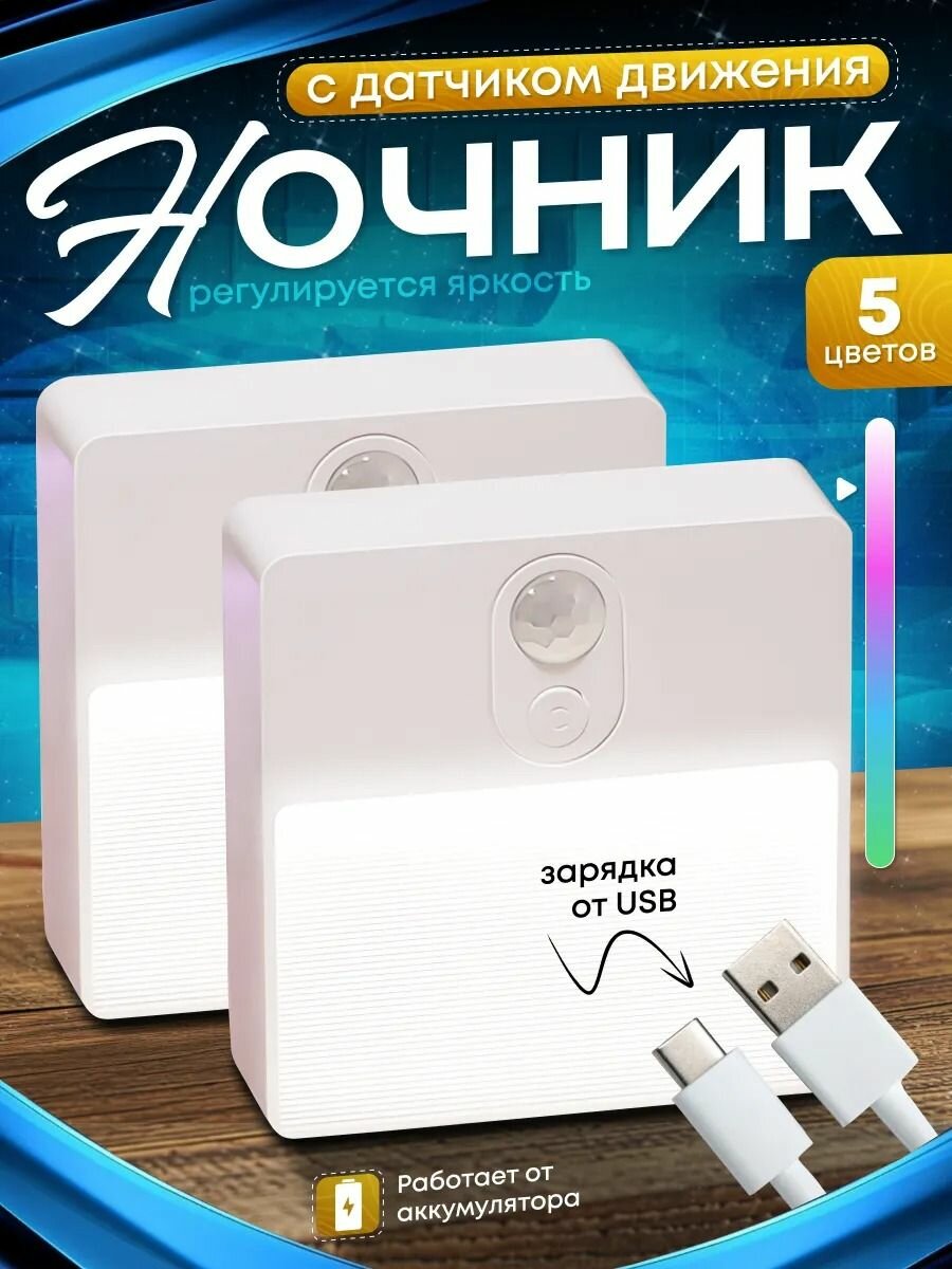 Разнообразие ночников